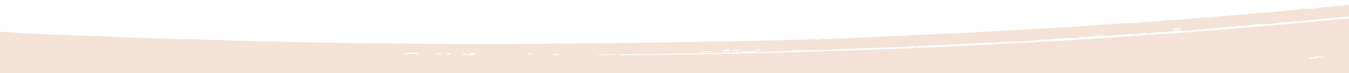 Cream-section-divider
